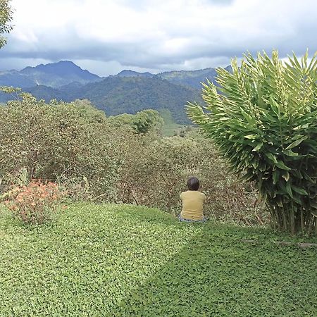 Green Bamboo Lodge San Francisco de Borja エクステリア 写真