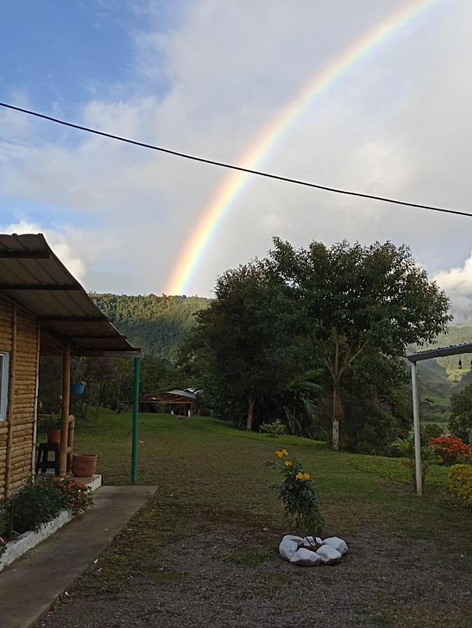 Green Bamboo Lodge San Francisco de Borja エクステリア 写真