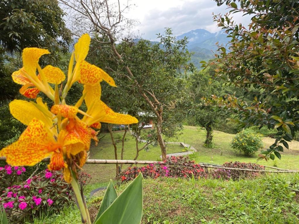 Green Bamboo Lodge San Francisco de Borja エクステリア 写真