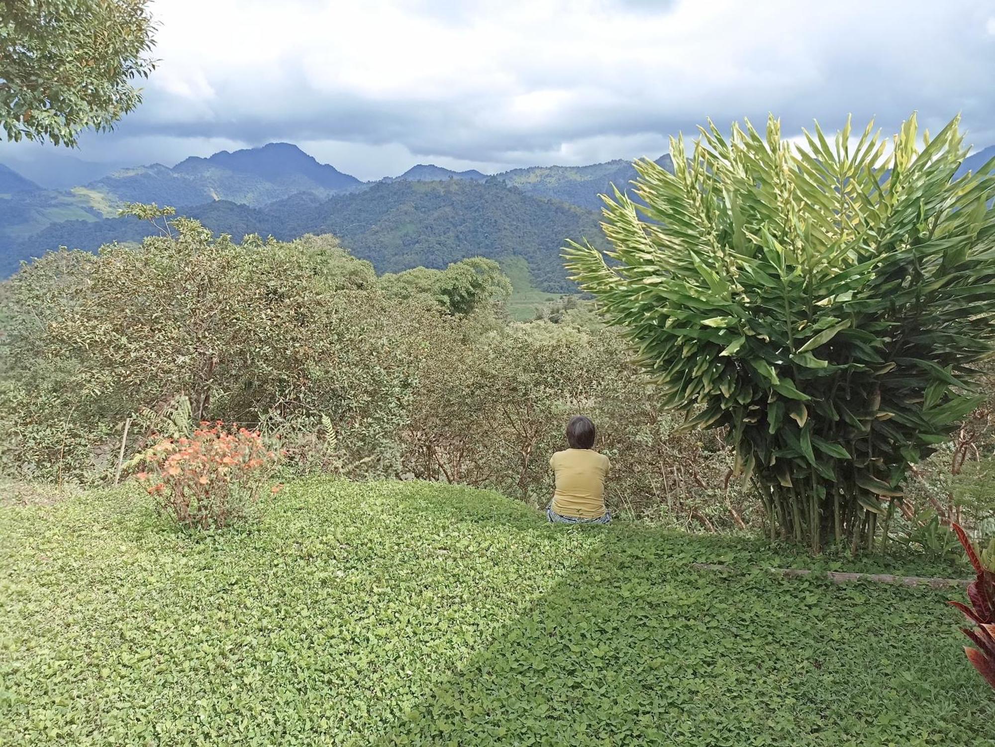 Green Bamboo Lodge San Francisco de Borja エクステリア 写真