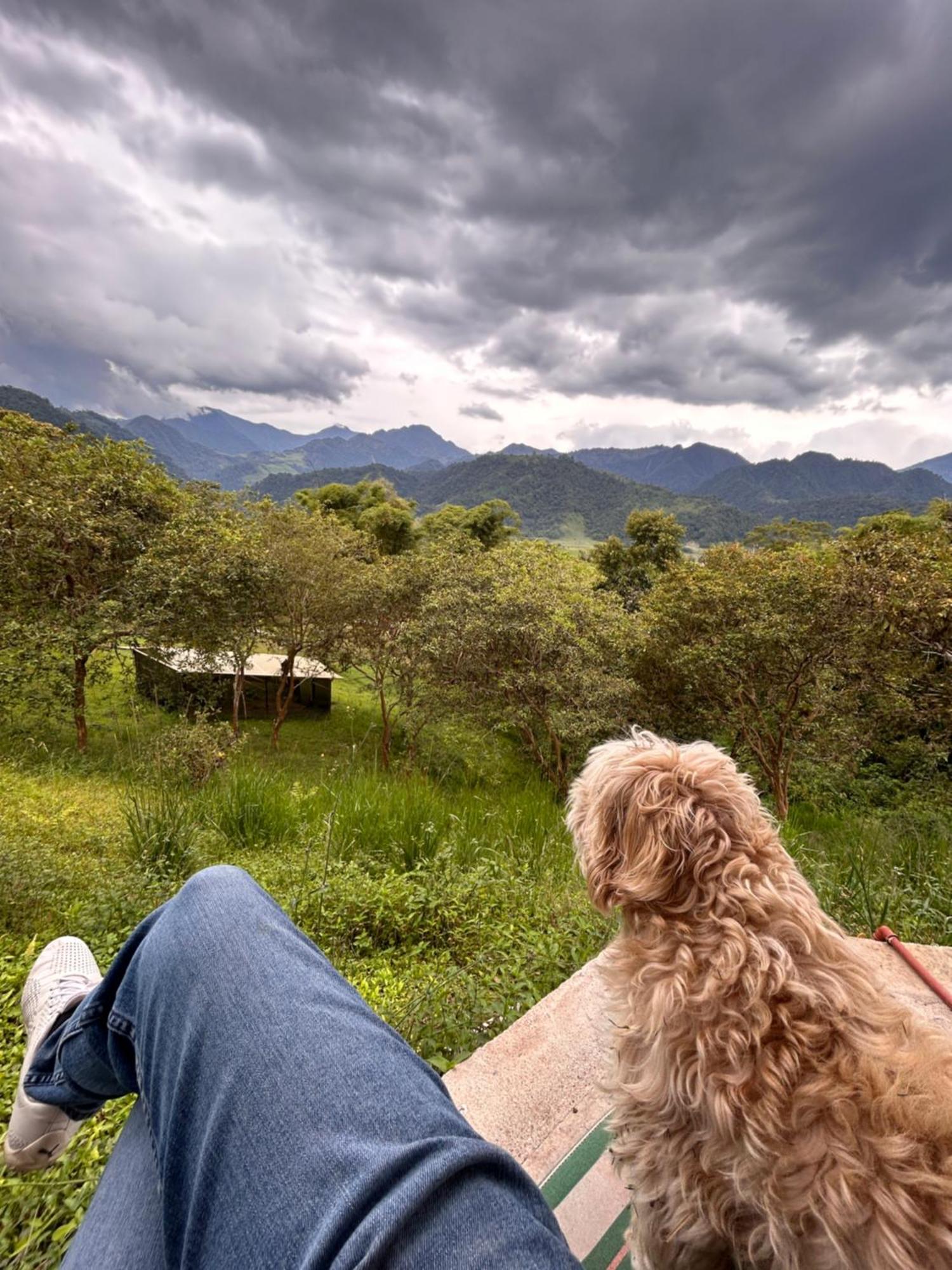 Green Bamboo Lodge San Francisco de Borja エクステリア 写真