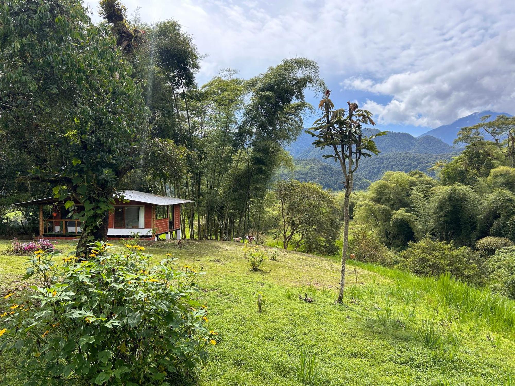 Green Bamboo Lodge San Francisco de Borja エクステリア 写真