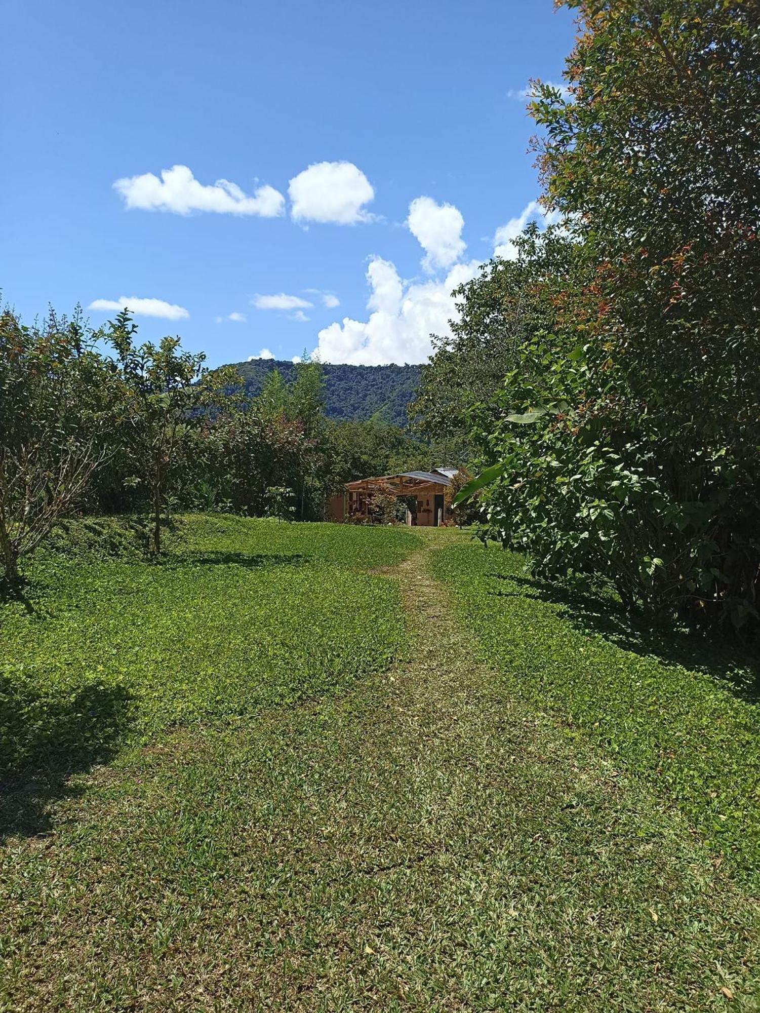 Green Bamboo Lodge San Francisco de Borja エクステリア 写真