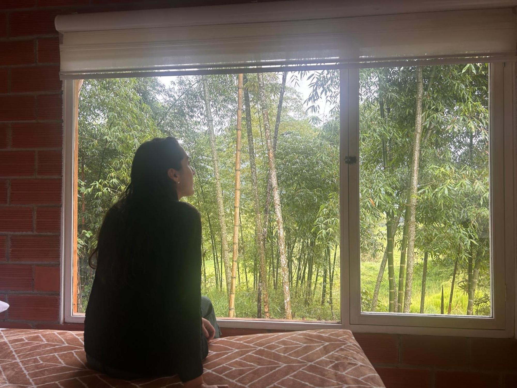 Green Bamboo Lodge San Francisco de Borja エクステリア 写真